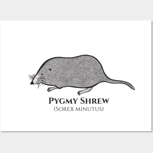 Pygmy Shrew with Common and Latin Names - cute animal design Posters and Art